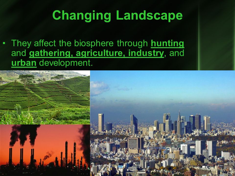 Changing Landscape They affect the biosphere through hunting and gathering, agriculture, industry, and urban development.