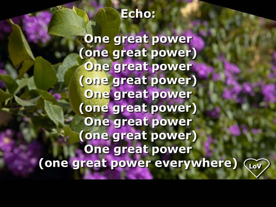 Echo: One great power (one great power) (one great power everywhere)