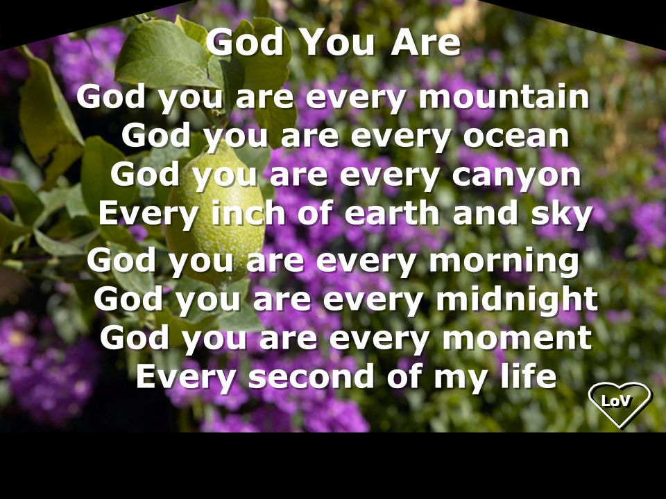 God You Are God you are every mountain God you are every ocean God you are every canyon Every inch of earth and sky.