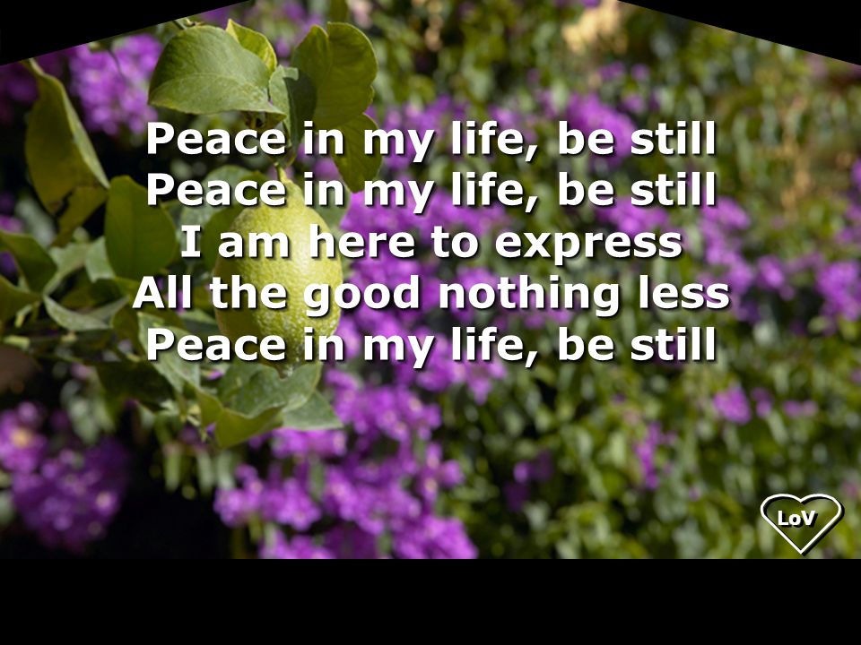 Peace in my life, be still Peace in my life, be still I am here to express All the good nothing less Peace in my life, be still