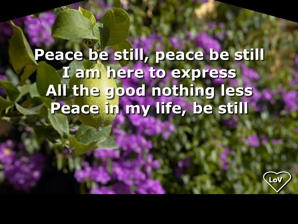 Peace be still, peace be still I am here to express All the good nothing less Peace in my life, be still