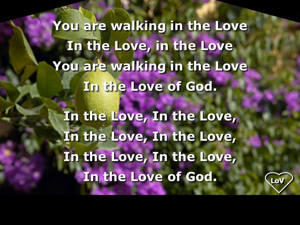 You are walking in the Love In the Love, in the Love In the Love of God. In the Love, In the Love,