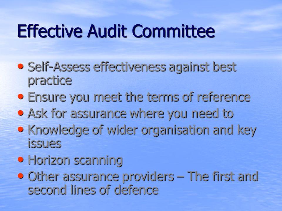 Audit Committee’s Terms of Reference