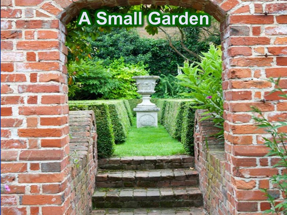 A Small Garden