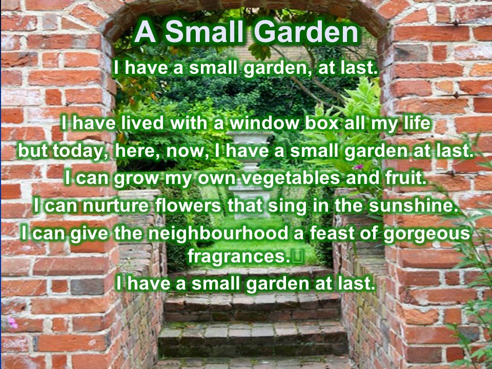 A Small Garden