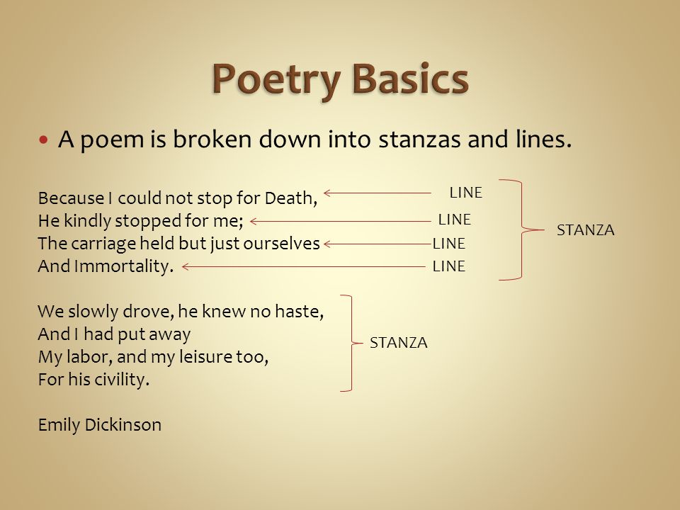 Poetry Basics A poem is broken down into stanzas and lines.