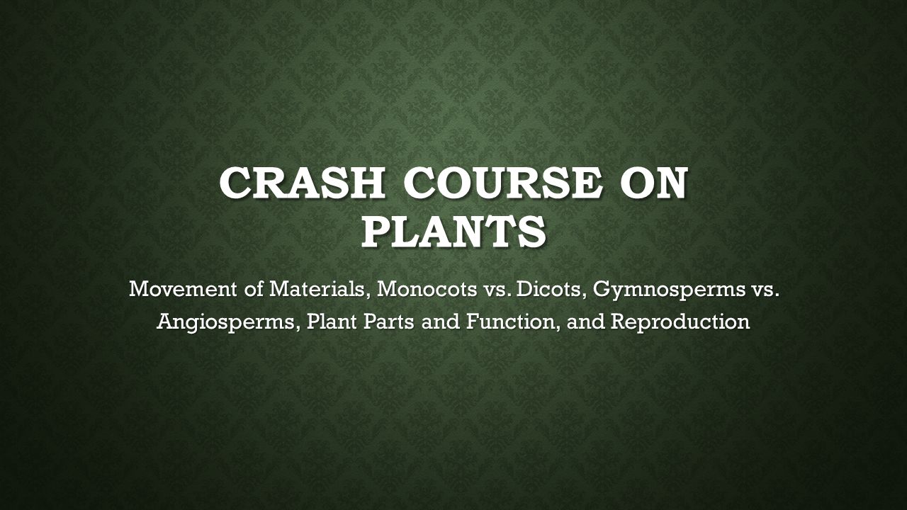 Crash Course on Plants Movement of Materials, Monocots vs.