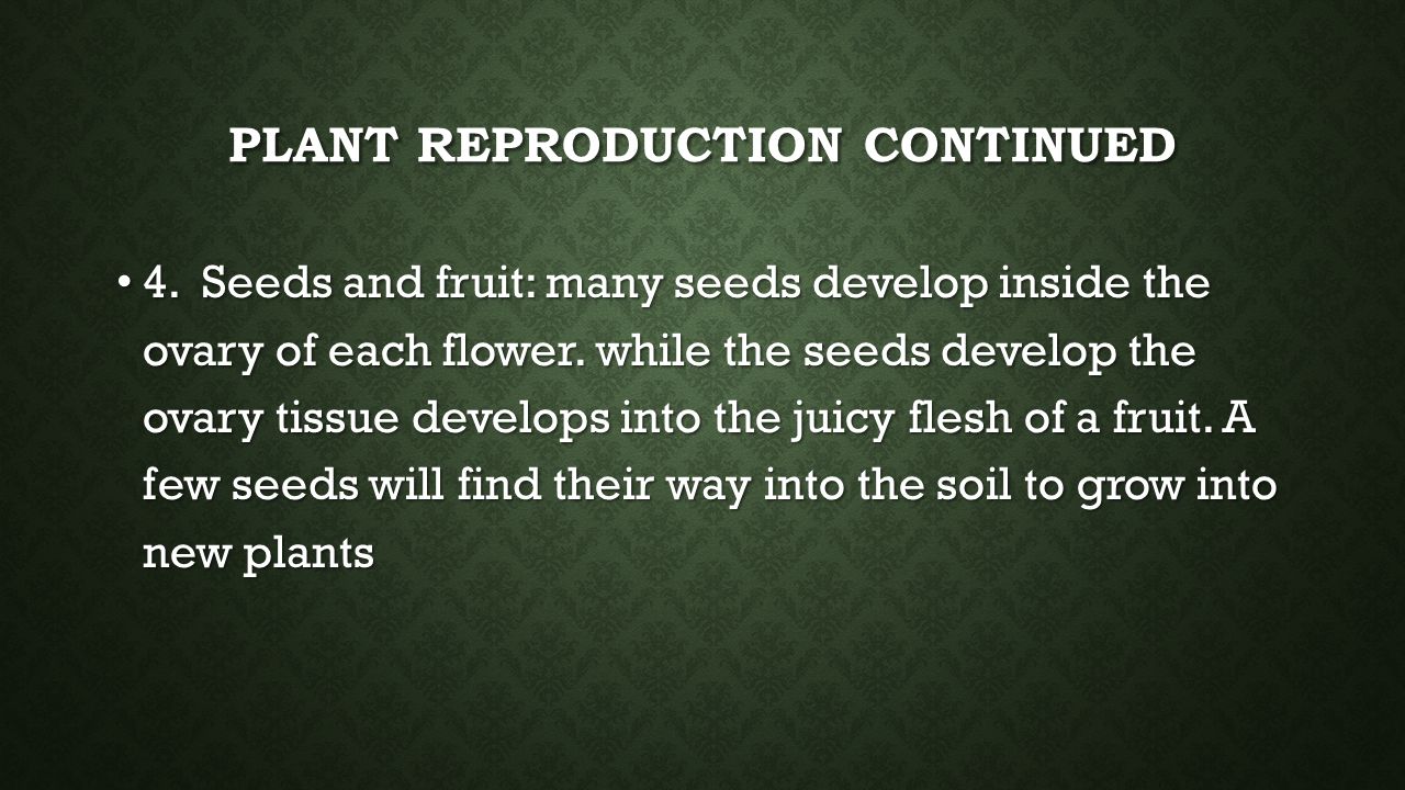 Plant reproduction continued