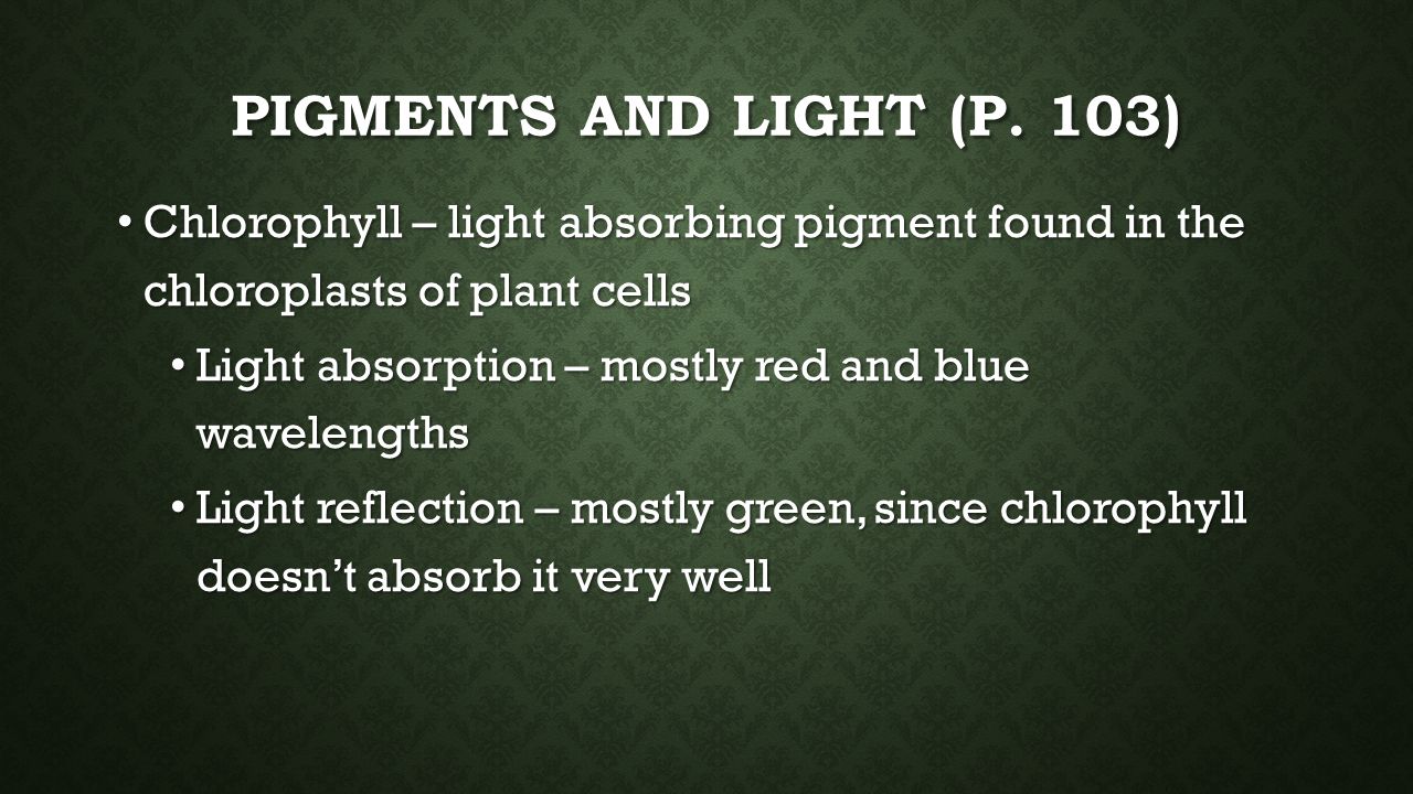 Pigments and light (p. 103) Chlorophyll – light absorbing pigment found in the chloroplasts of plant cells.