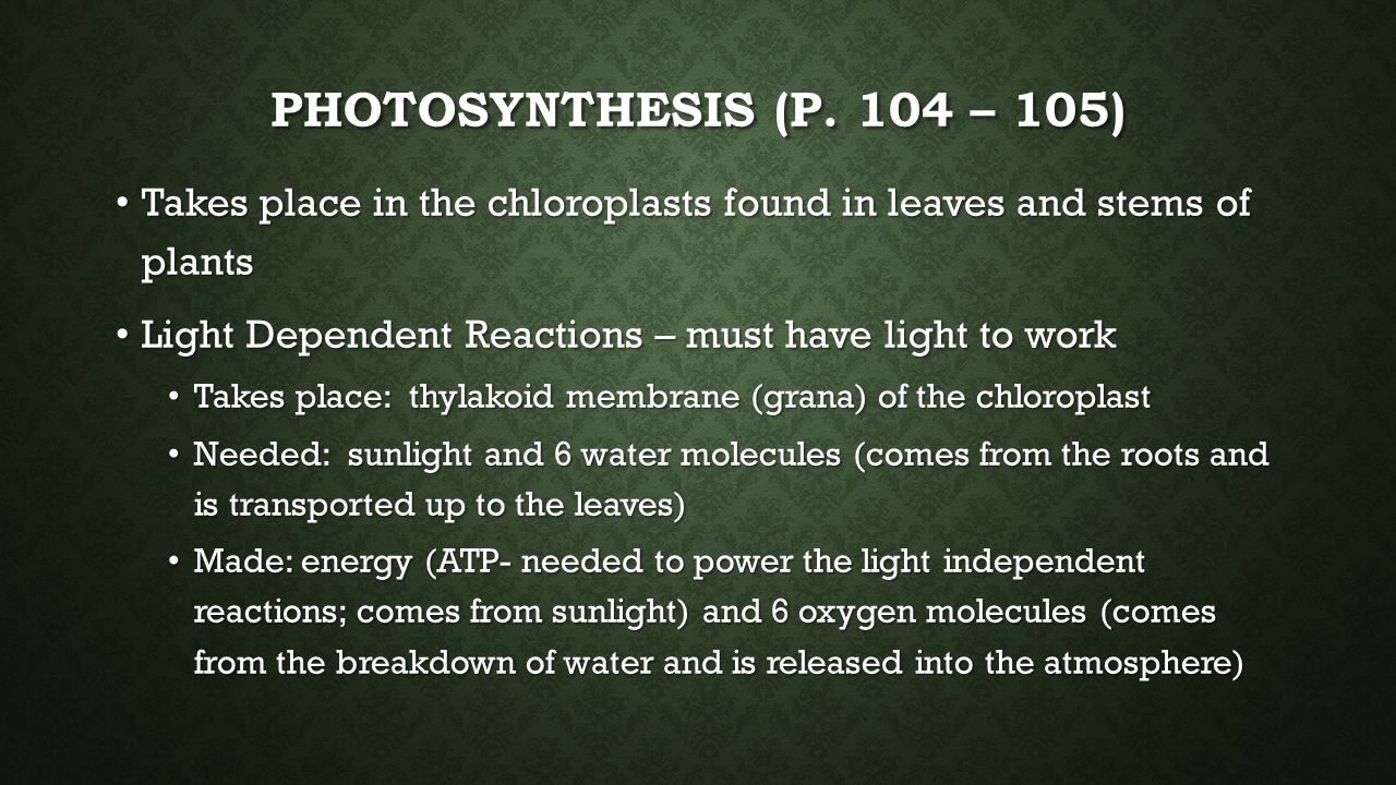 Photosynthesis (p. 104 – 105) Takes place in the chloroplasts found in leaves and stems of plants.