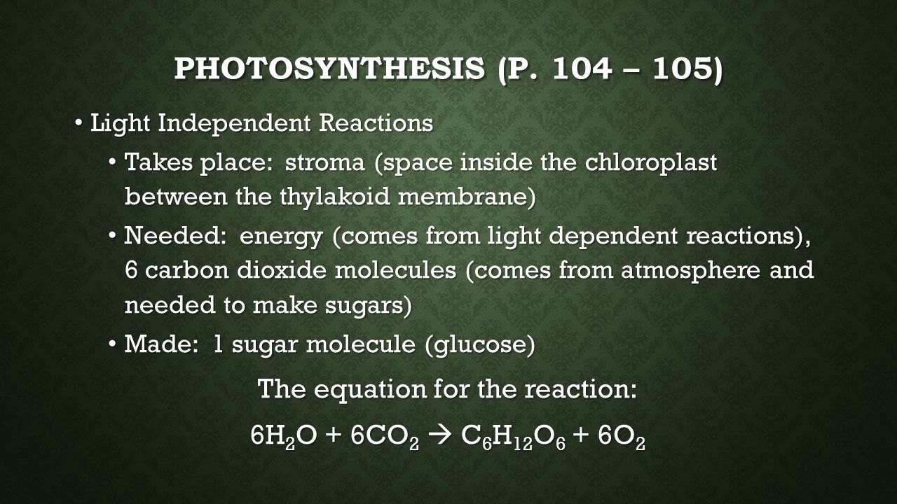 The equation for the reaction: