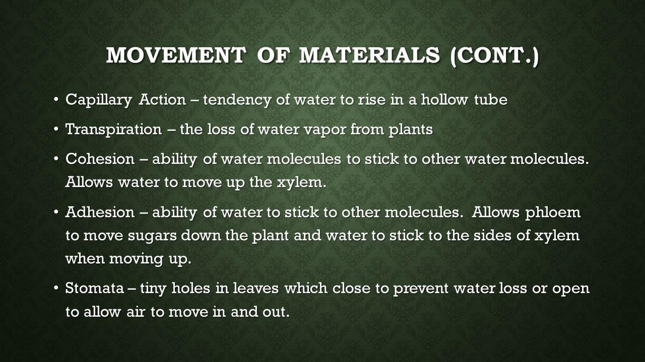 Movement of Materials (cont.)