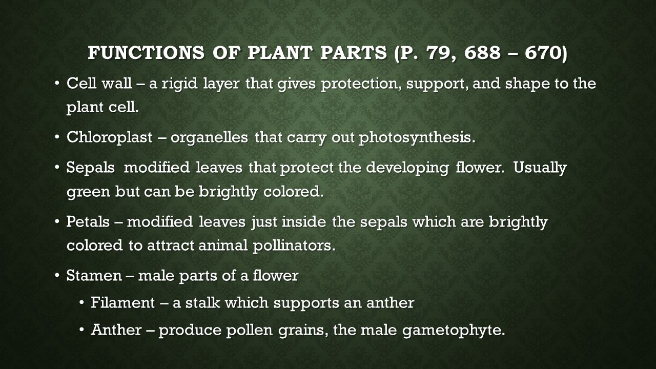 Functions of plant parts (p. 79, 688 – 670)
