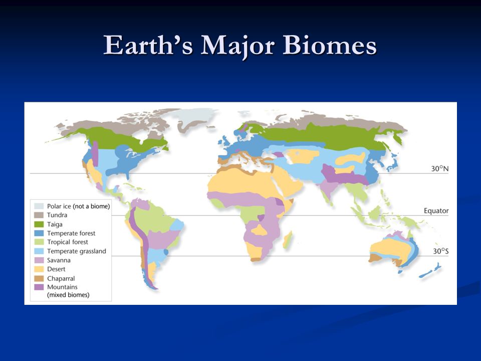 Earth’s Major Biomes