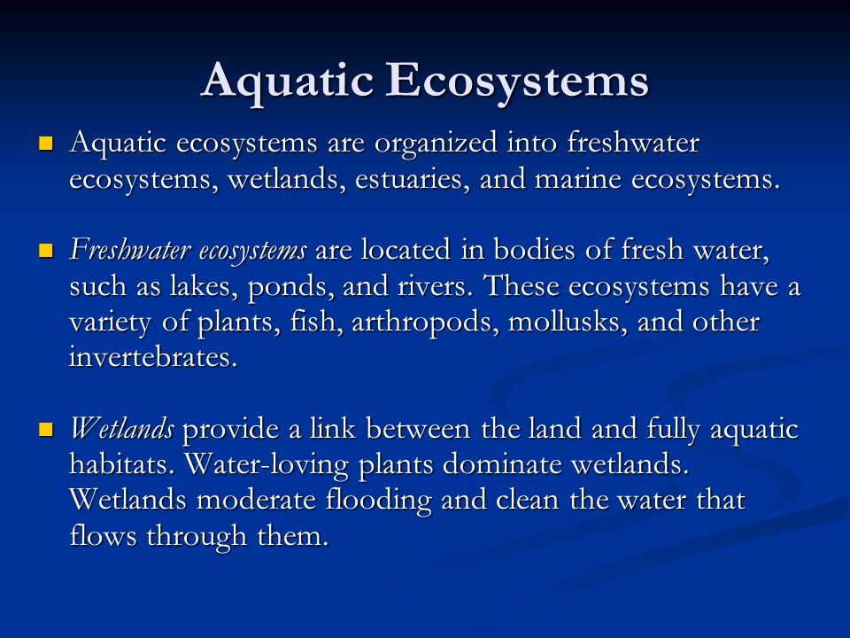 Aquatic Ecosystems Aquatic ecosystems are organized into freshwater ecosystems, wetlands, estuaries, and marine ecosystems.