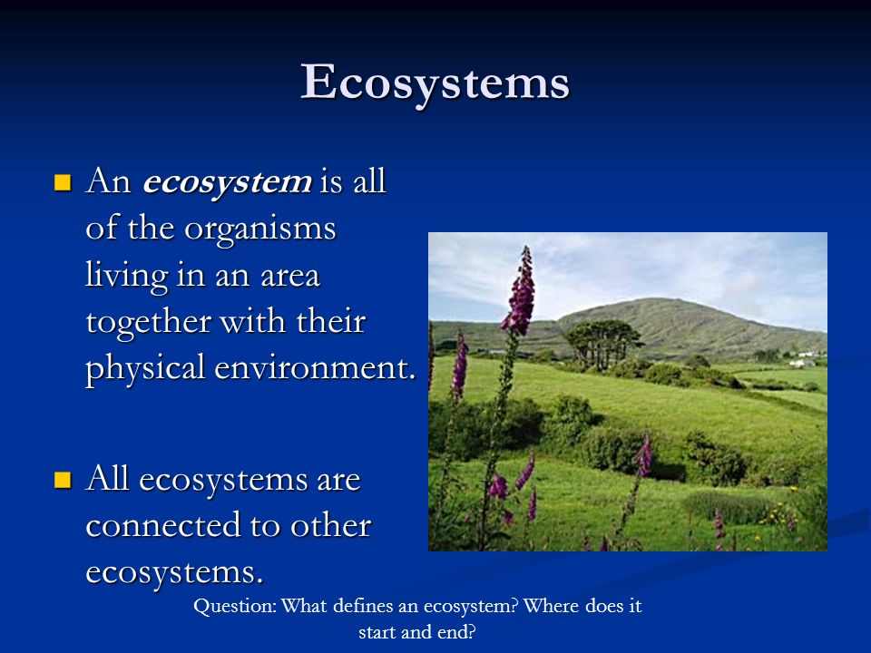 Question: What defines an ecosystem Where does it start and end