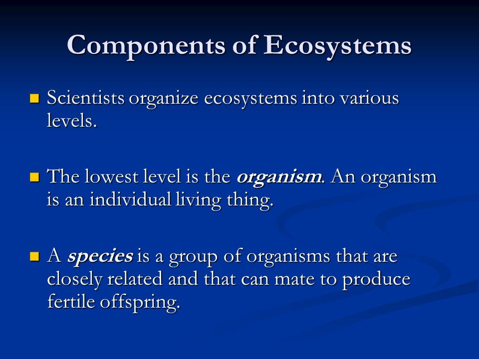 Components of Ecosystems