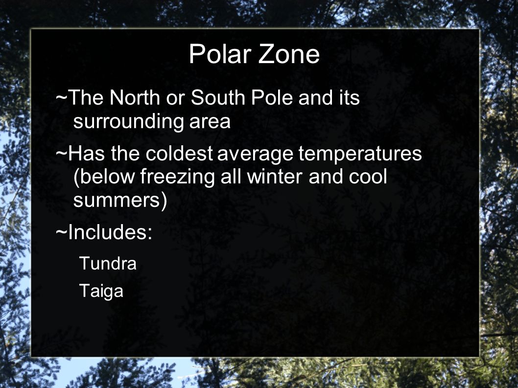 Polar Zone ~The North or South Pole and its surrounding area