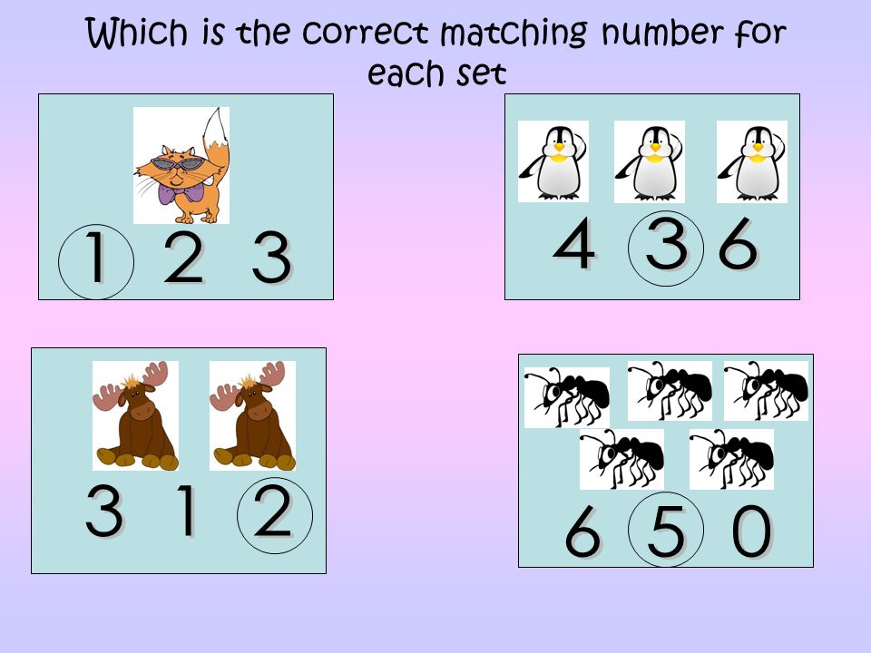 Which is the correct matching number for each set