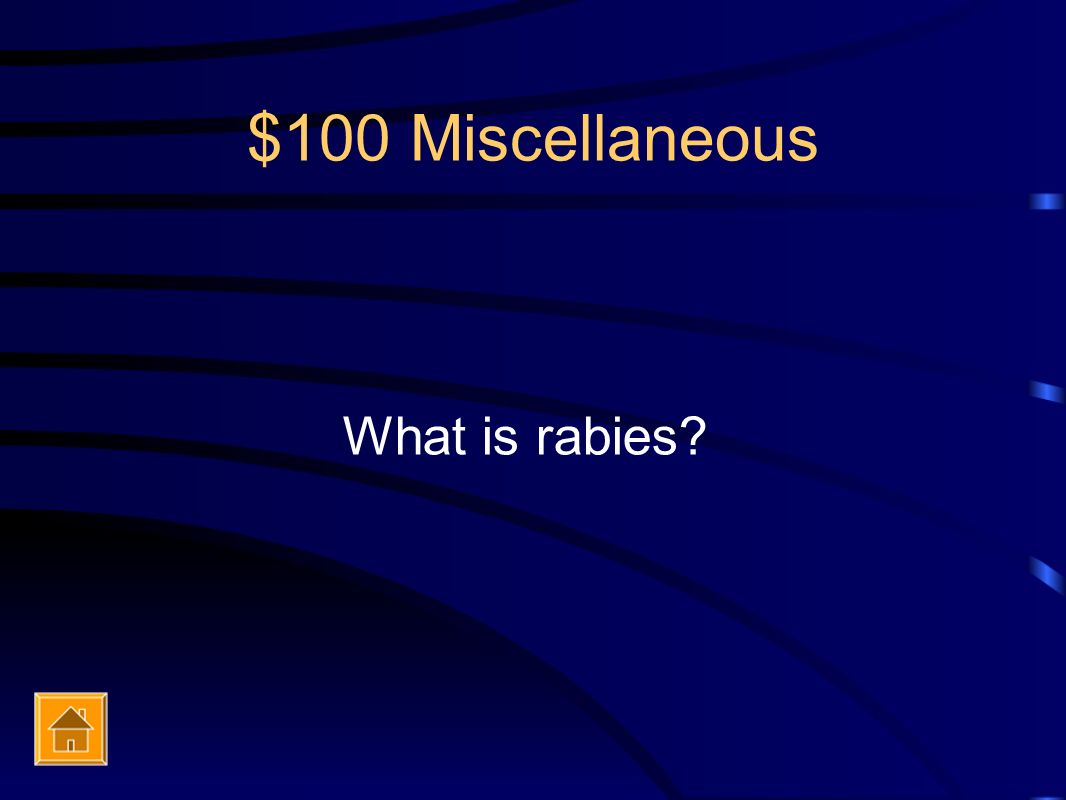 $100 Miscellaneous What is rabies
