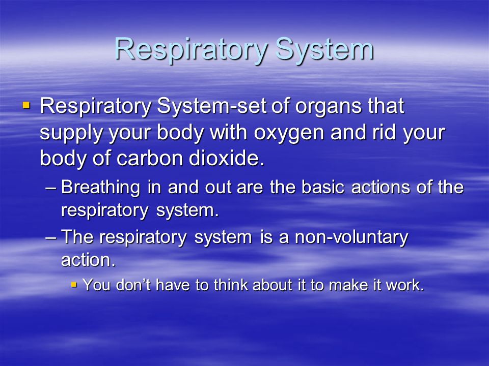 Respiratory System Respiratory System-set of organs that supply your body with oxygen and rid your body of carbon dioxide.