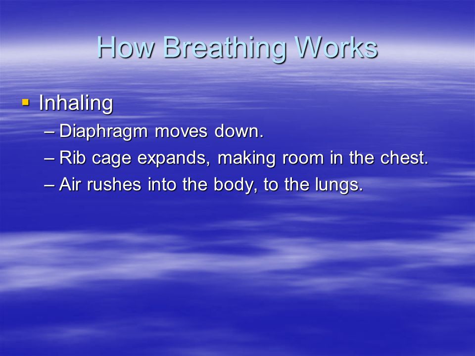 How Breathing Works Inhaling Diaphragm moves down.