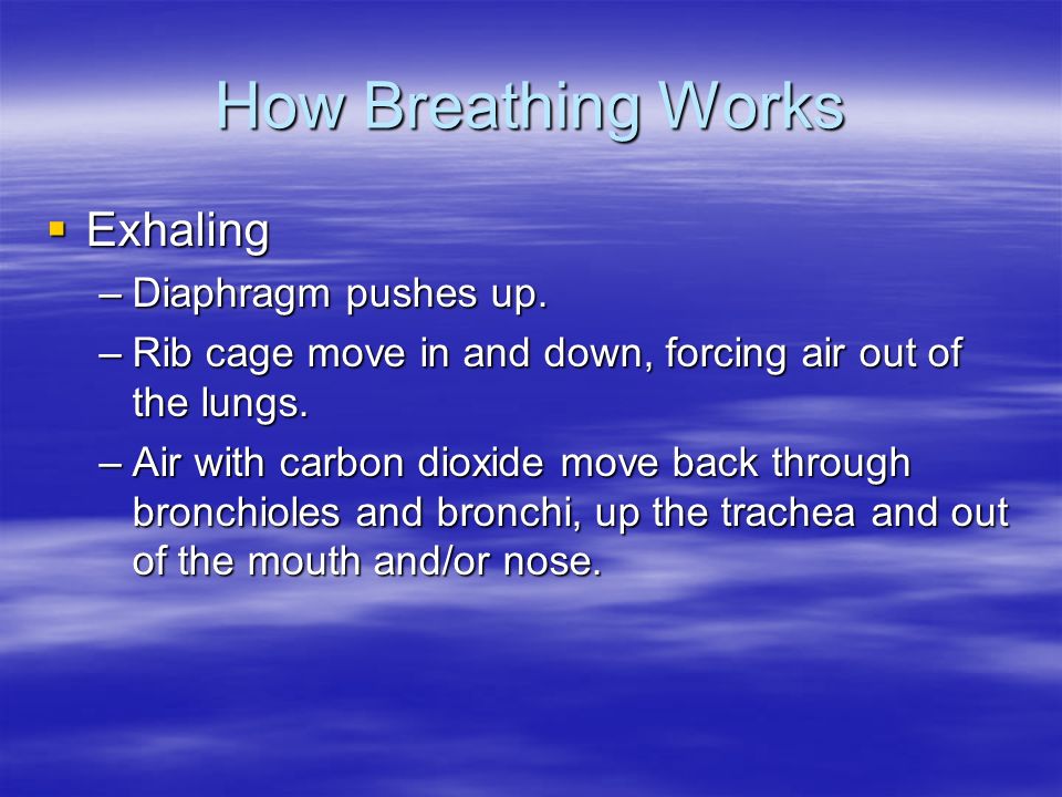 How Breathing Works Exhaling Diaphragm pushes up.