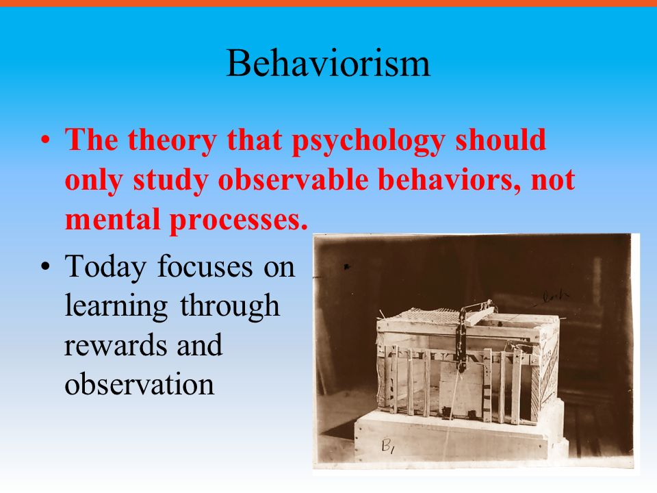 Behaviorism The theory that psychology should only study observable behaviors, not mental processes.