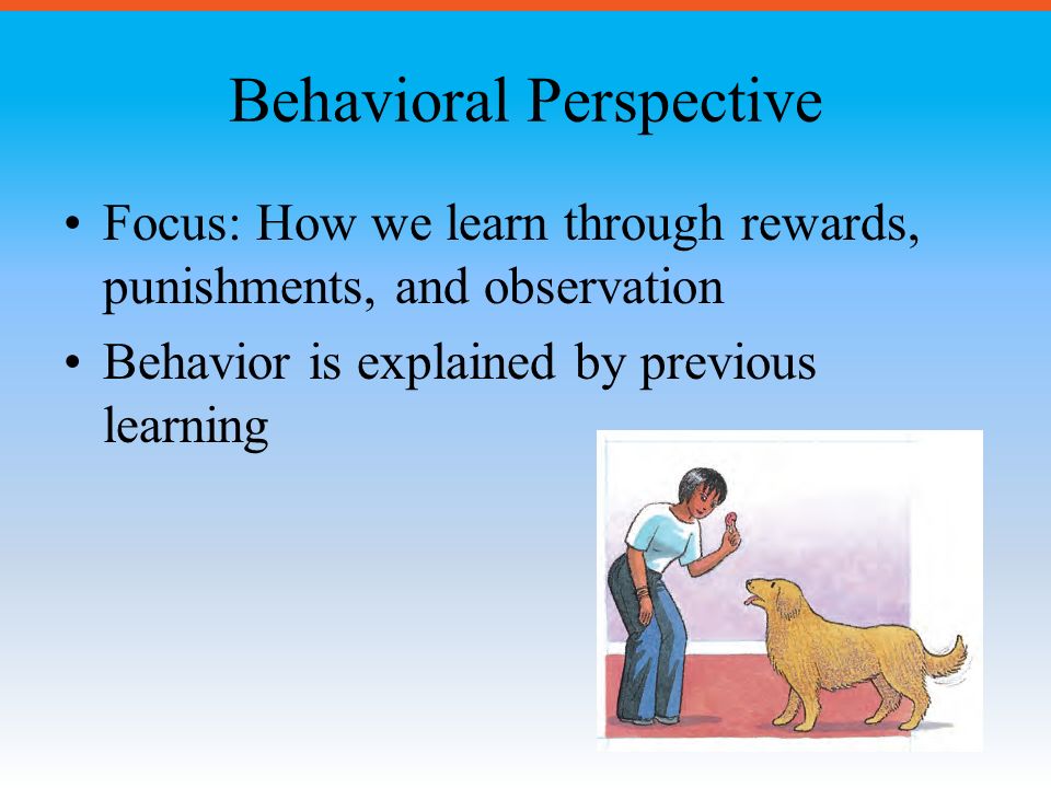Behavioral Perspective