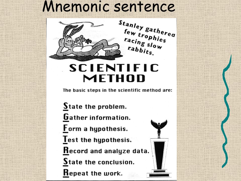 Mnemonic sentence
