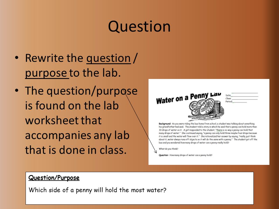 Question Rewrite the question / purpose to the lab.