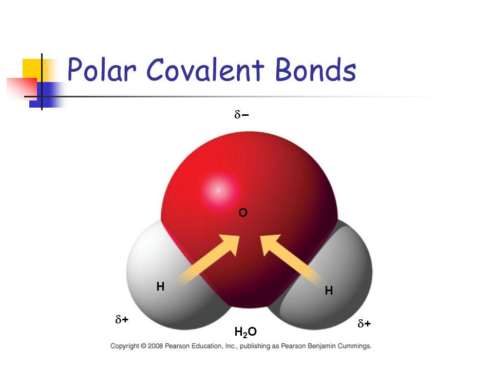 Polar Covalent Bonds  – + H O H2O