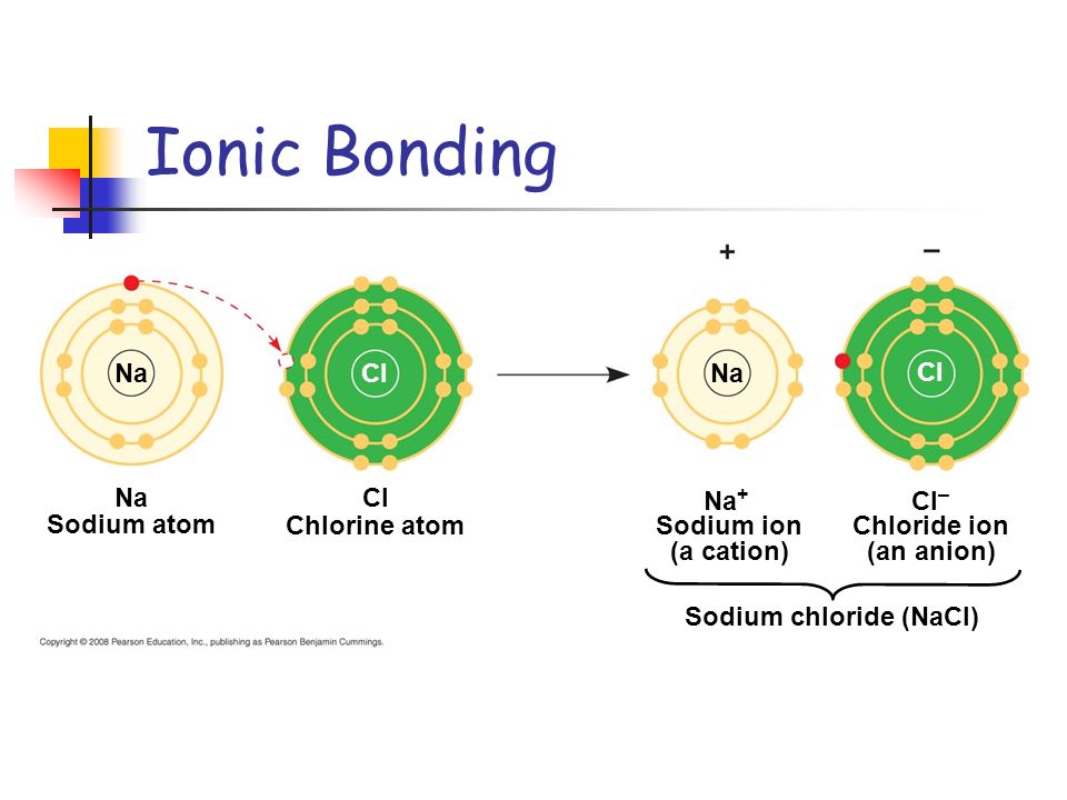 Ionic Bonding Na Cl Na Cl Na Cl Na+ Cl– Sodium atom Chlorine atom