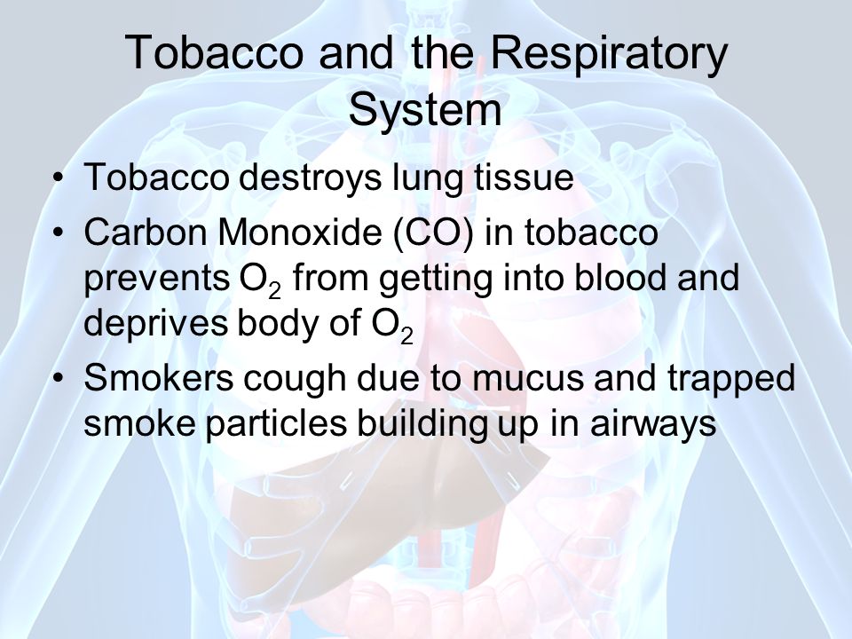 Tobacco and the Respiratory System