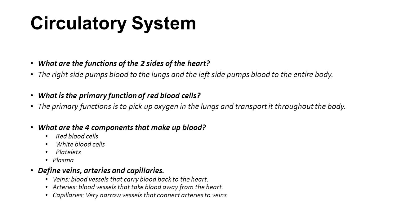 Circulatory System What are the functions of the 2 sides of the heart
