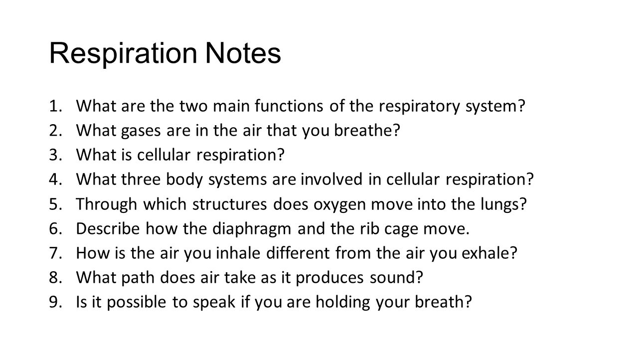 Respiration Notes What are the two main functions of the respiratory system What gases are in the air that you breathe