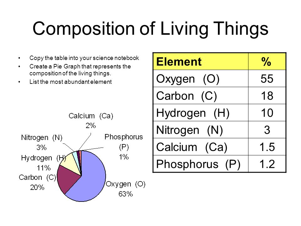 Composition of Living Things