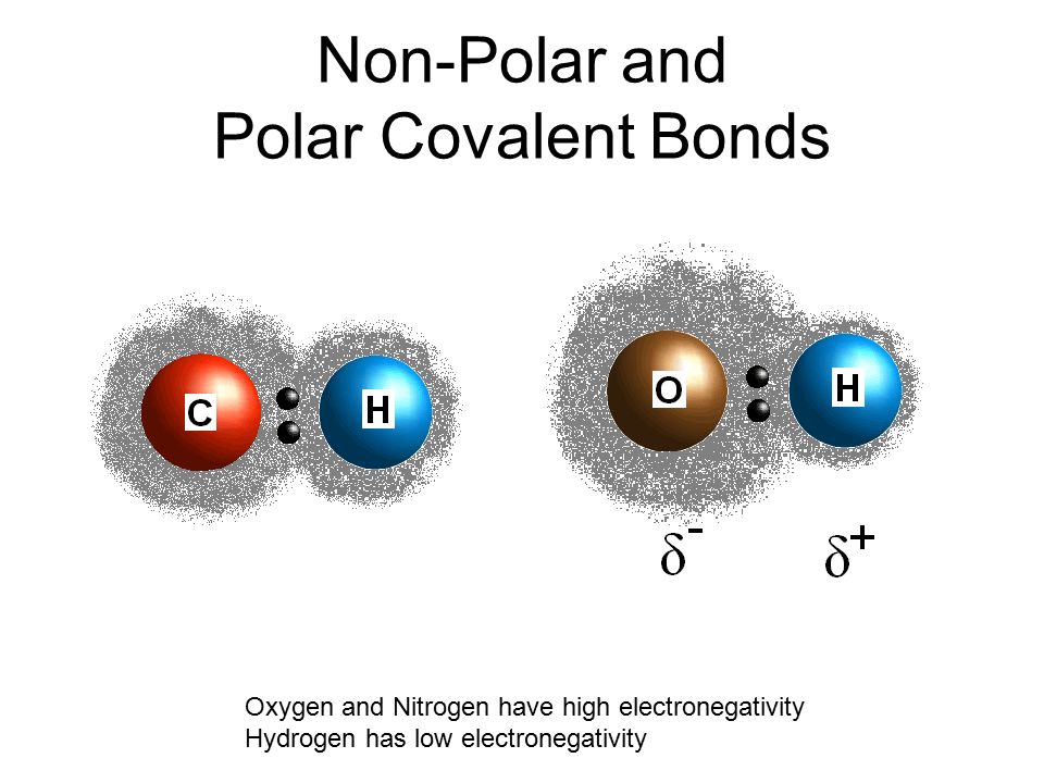 Non-Polar and Polar Covalent Bonds