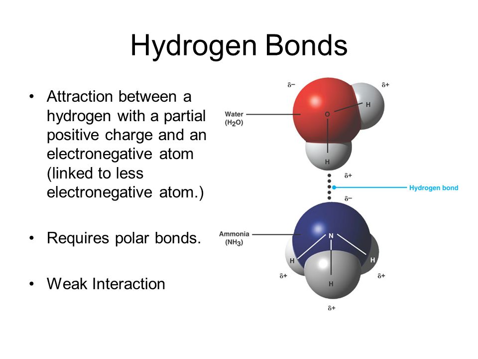 Hydrogen Bonds Attraction between a hydrogen with a partial positive charge and an electronegative atom (linked to less electronegative atom.)