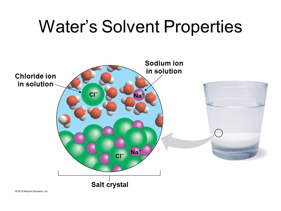 Water’s Solvent Properties