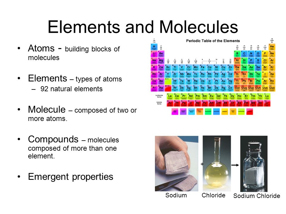 Elements and Molecules