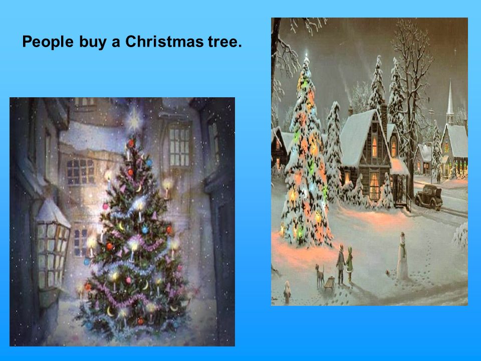 People buy a Christmas tree.