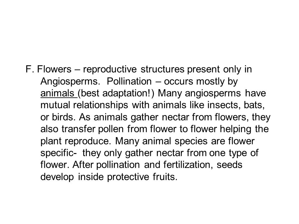 F. Flowers – reproductive structures present only in Angiosperms