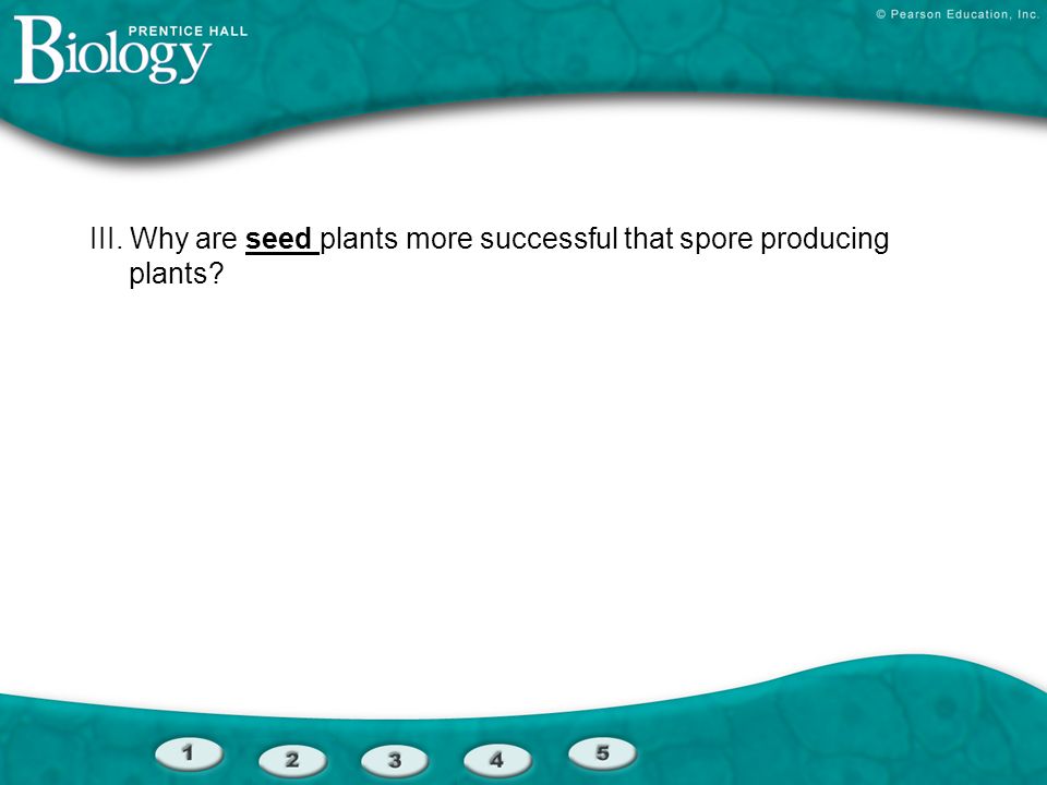 III. Why are seed plants more successful that spore producing plants