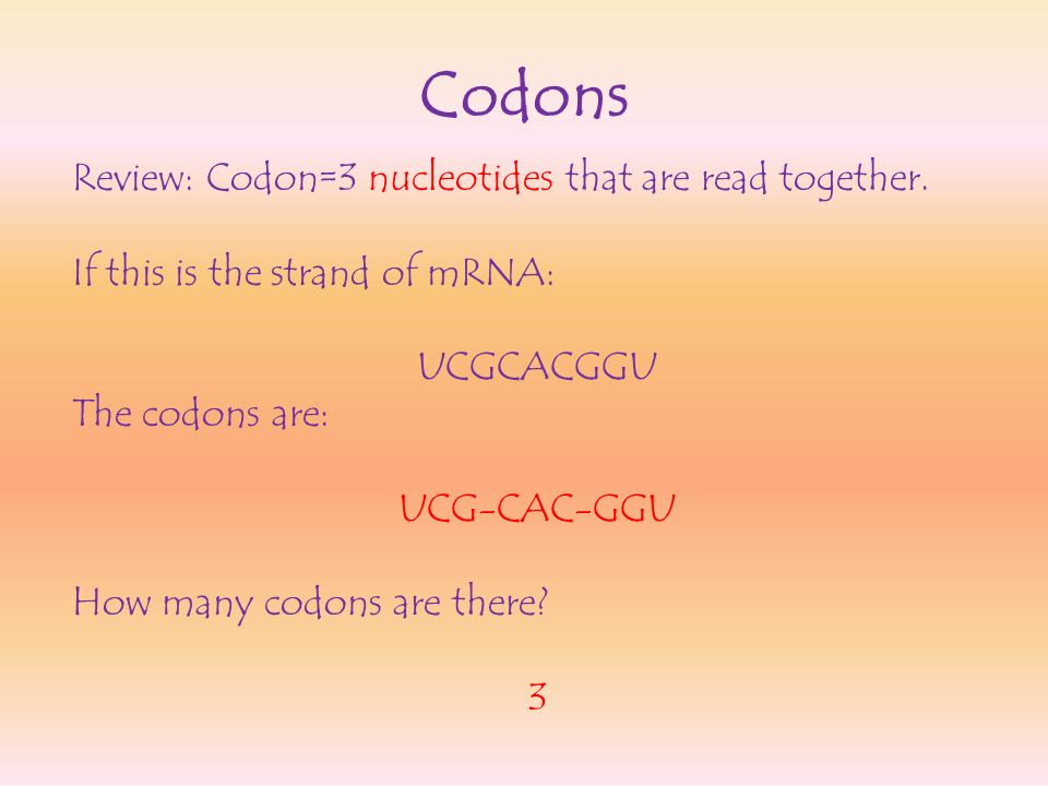 Codons Review: Codon=3 nucleotides that are read together.