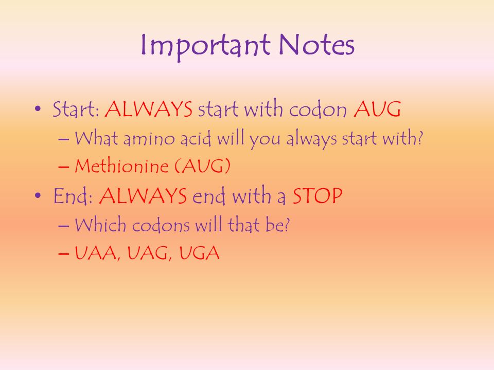 Important Notes Start: ALWAYS start with codon AUG