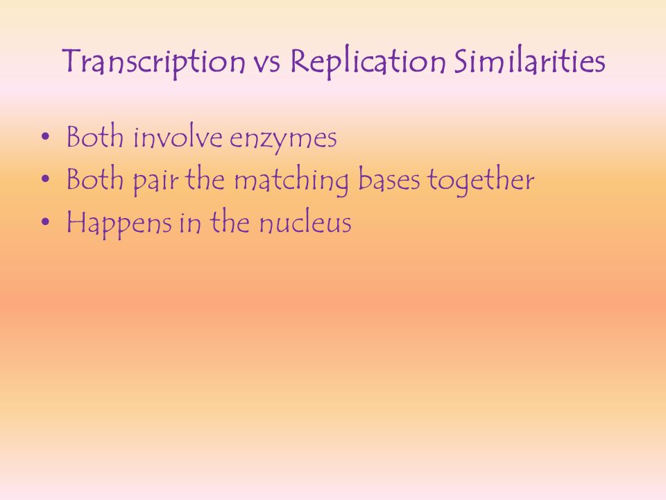 Transcription vs Replication Similarities