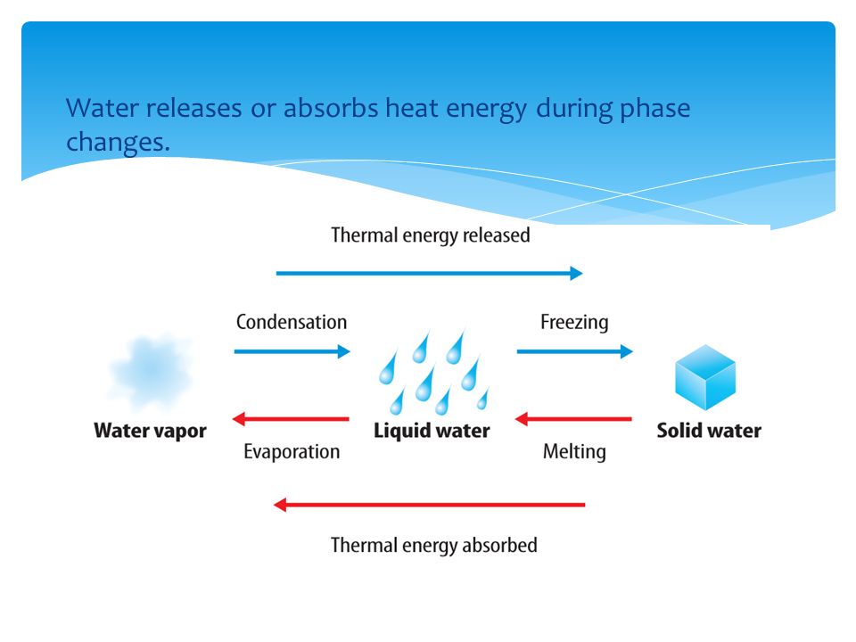 Water releases or absorbs heat energy during phase changes.