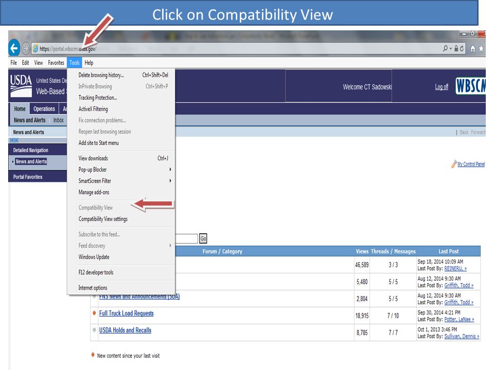 Click on Compatibility View