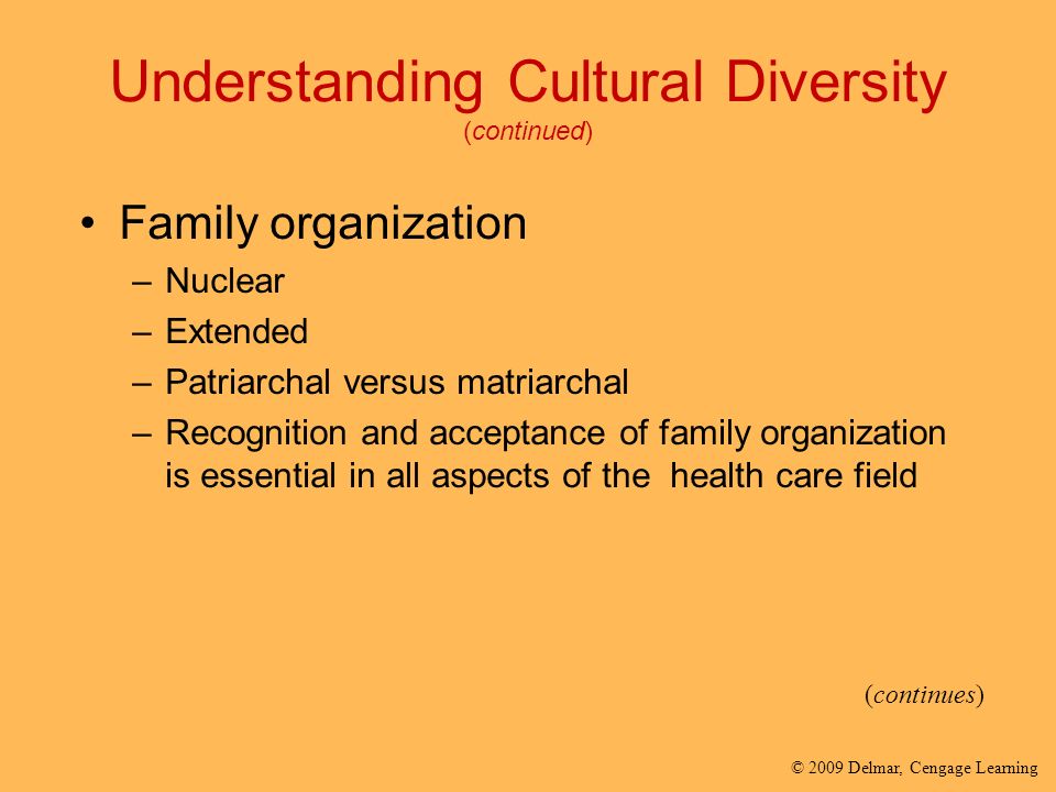 Understanding Cultural Diversity (continued)